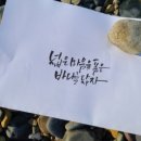 바다가 좋아 이미지