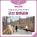 [전라북도] 군산 가볼만한 곳 - 산책하기 좋은 월명공원 이미지