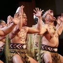 New zealand/마오리(Maori)족의 전통문화 이미지