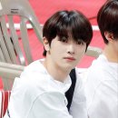 황금토끼 이미지