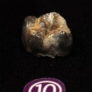 GS25시 공주백제점 | 2026/1/14~1/16 충남 공주-부여-전북 익산-군산