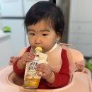 냥냥 | 파우치토퍼 키도러블 냥냥캡 사용후기