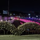 읍내맥주 이미지