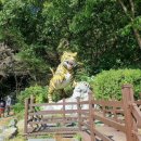 [충남 청양] 9월 알레버스 첫이용 칠갑산 등산후기_2024🩷