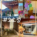 경주 황리단길/노천스파가 있는 한옥 스테이[소소정]사랑채2호 후기