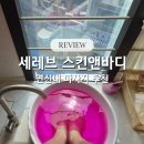 서울앤탑동물병원 | 연신내 건식 마사지 추천? 세레브 스킨앤바디 마사지