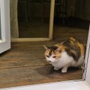 레이크펜션 | 대전근교펜션 대청댐펜션 스톤앤레이크 레이크룸 후기