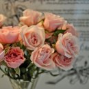 아이디어플라워 이미지