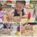 가베스쿨2 이미지