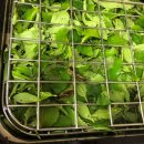 읍내7리 마을회관 이미지