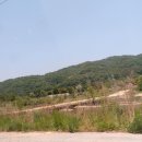 정가네명태앙성점 이미지