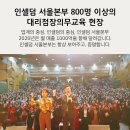 보라인셀덤