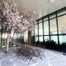 심스호텔 이미지