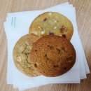 도그팡팡 이미지