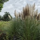 의령소바&명태어장, 쭈갑골 남해점 이미지