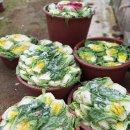 구항농장 이미지