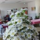 다희농장 이미지