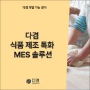 다겸시스템