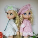 젤리핑크 이미지