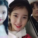 펫 매니저 이미지