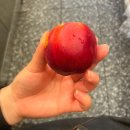 하프타임(강구점) | 6/24 - 30, 첫 마라톤 대회를 위해 준비하고 병원까지 가는 건강 찾는 일주일