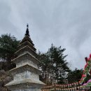 사단법인 함백산 야단법석 프레시안