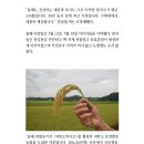 홍원바이오아그로 이미지