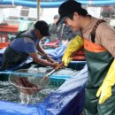 신진도 주차장 이미지