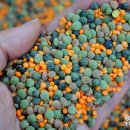 (주)콩고미 이미지