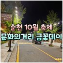 (1~3학년)마리모 어항 만들기 | 순천 문화의거리 축제 금꽃데이 이색 체험 일정 정리