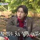 희철농장 스포츠경향