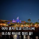 주식회사 플라잉마운틴 | 도쿄 디즈니씨 수요일 오픈런 • 총 7개 타고 왔어요! 처음 가는 분들 필독!! (25년 최신 정보)