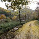 어느 날 오후 이미지