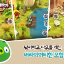 버드아일랜드 이미지