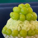 글로리텔 이미지