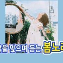 문화광장길 네이버블로그