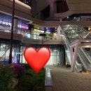 분당미래약국 이미지