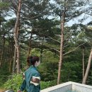 금강정미소 | 2박3일 : 맛집여행 백촌막국수 태시트 속초항아리물회 속초아이 카페패들 속초관광시장 초당커피정미소