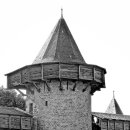 경주초우오토캠핑장 이미지