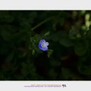 이마당약수터 이미지