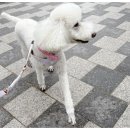 다우리유치원 이미지