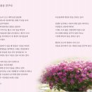 봄을꿈꾸다