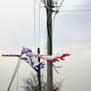 월곶1통 이미지