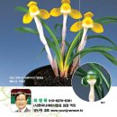 영난원