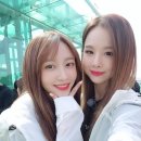 하니언니 이미지