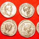 마태농장2 이미지