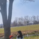 도윤목장 네이버블로그