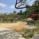 달의 정원 이미지