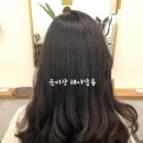 봄날오후 헤어살롱