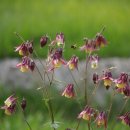 쉬자파크 이미지